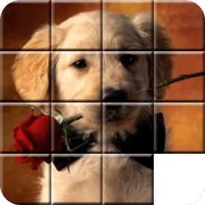 Puzzle 15: Lovely Pets