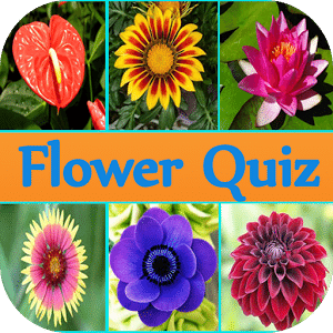 Rose Quiz