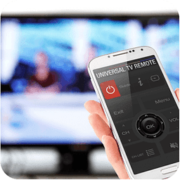 Universal TV Remote Control