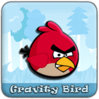 Gravity Bird