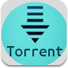 P2P Torrent Downloader