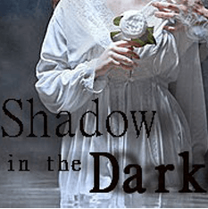 Novel Shadow In The Dark