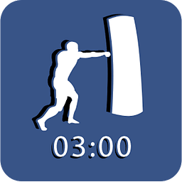 MMA Training and Fitness Timer
