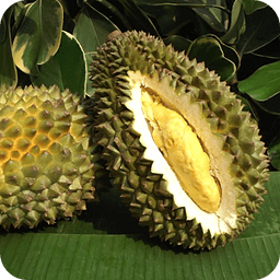 Durian Matching