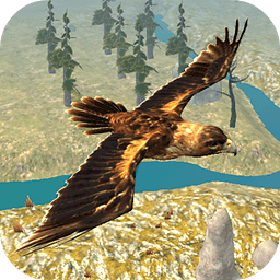 Eagle Bird Simulator