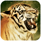 Roar - Film 2014 Official Game