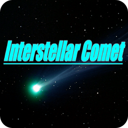 Interstellar Comets