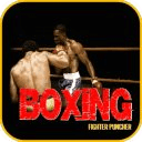 Boxing: Fighter Puncher