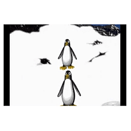 Penguin Pals Animation