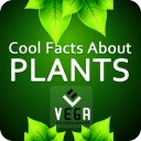 Cool Facts about Plants