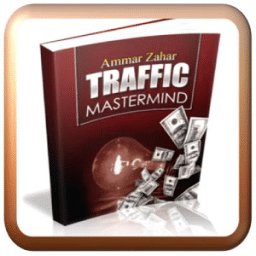 Traffic Mastermind