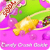 Guide 4 Candy Crush Soda...