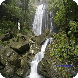 Visit Puerto Rico: El Yunque