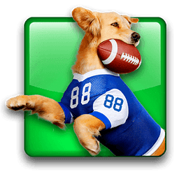 Jerry Rice Dog Football:...