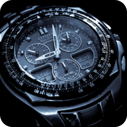 Citizen Watches