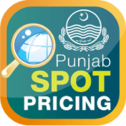 Punjab Spot Pricing