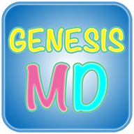 创世纪模拟器（MD模拟器）Genesis Emulator