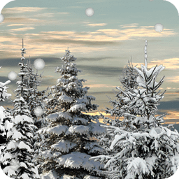 Winter Snow Trees 3D Trial LWP
