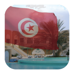 3d Tunisia Flag