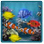 Fish Aquarium Live Wallpaper