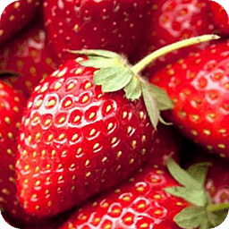 Strawberry Matching