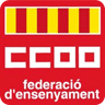 FE CCOO PV