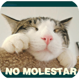 Imagenes de gatos con frases