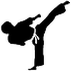 World Martial Arts