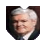 Newt Gingrich ZERI