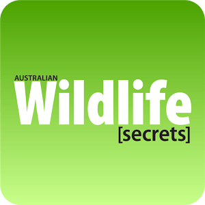 Wildlife Secrets