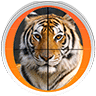 Tiger Slide Puzzle Game