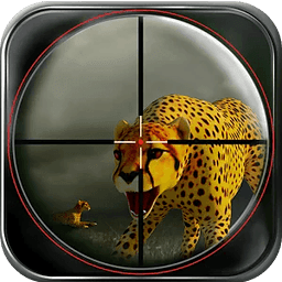 Wild Cheetah Hunting