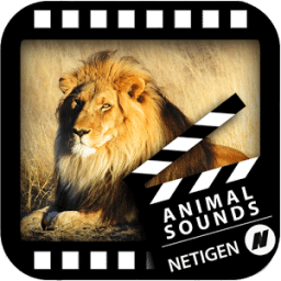 Best Animal Sounds