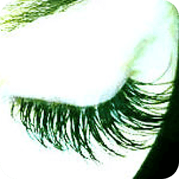 Lashes by Liz