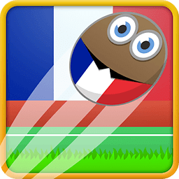 Flappy Cup Winner France