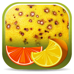Citrus Diseases Key