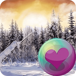 Winter Wonderland HD Wallpaper