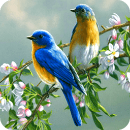 Singing Birds Live Wallapaper