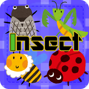 Insect Concentration (game)