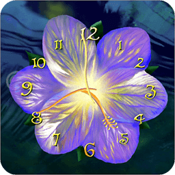 Serene flower clock HD widget