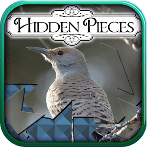Hidden Pieces: Winter Birding