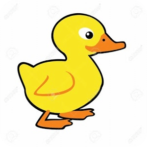 Patito loco