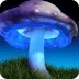Hallucinogenic Blue Mushroom
