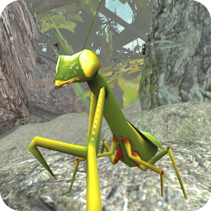 Praying Mantis Simulator 3D