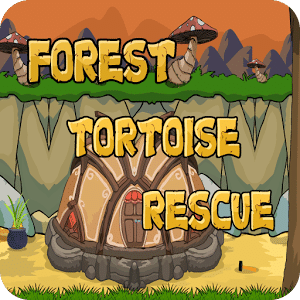 Forest Tortoise Rescue