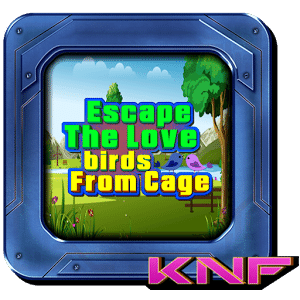 Can you Escape Birds From Cage