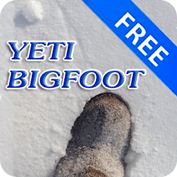 3D Yeti Ice-Crust Drift Free