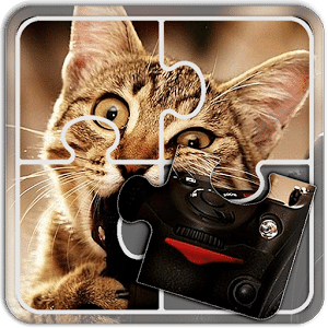 Jigsaw Puzzles Cats