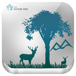 Wildlife Sanctuaries