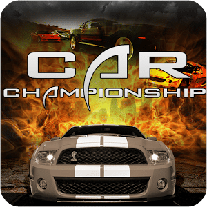 Car Racing Championship 3D